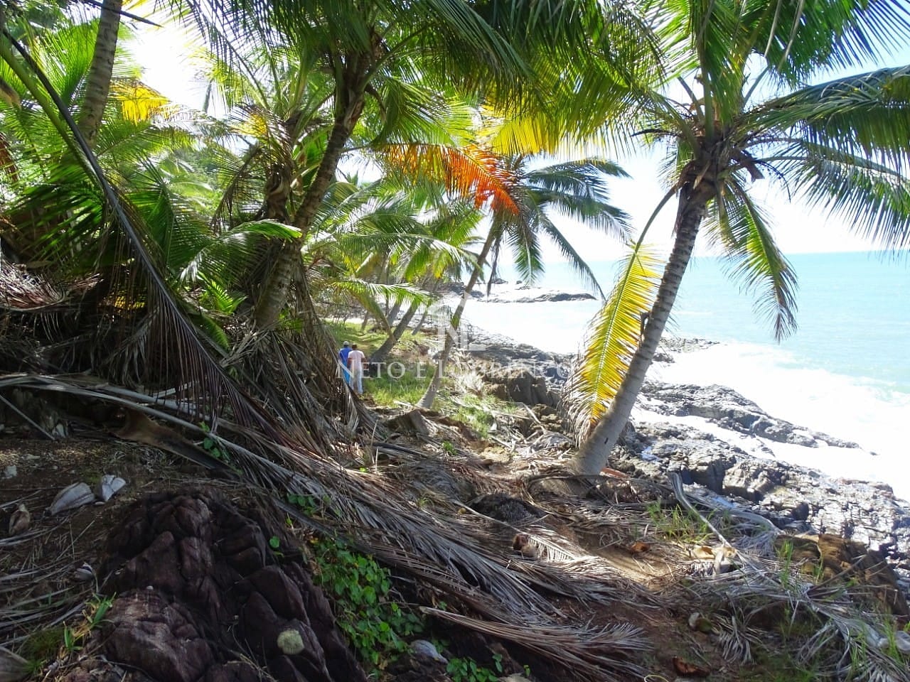 Terreno, 22 hectares - Foto 9