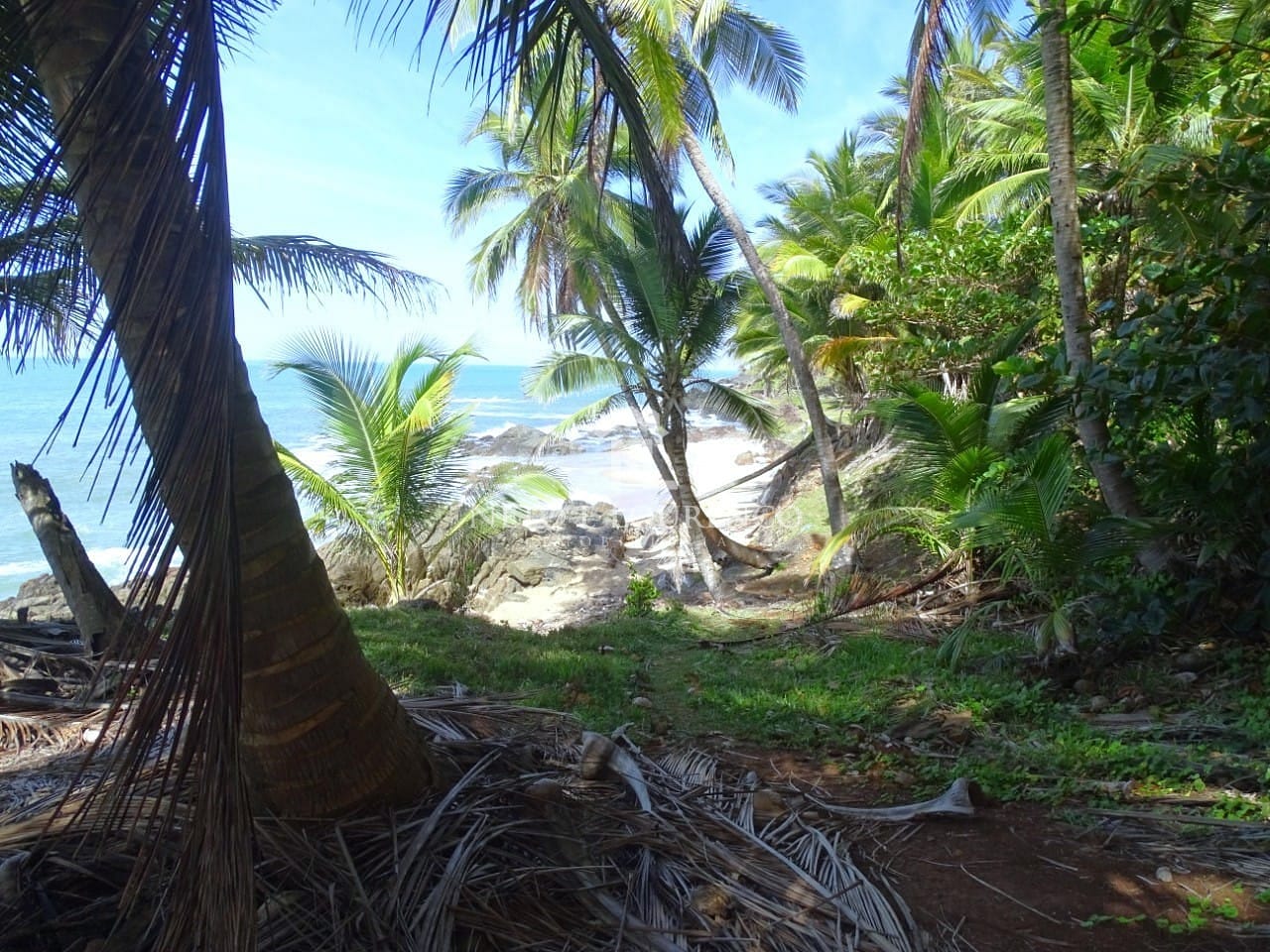 Terreno, 22 hectares - Foto 10