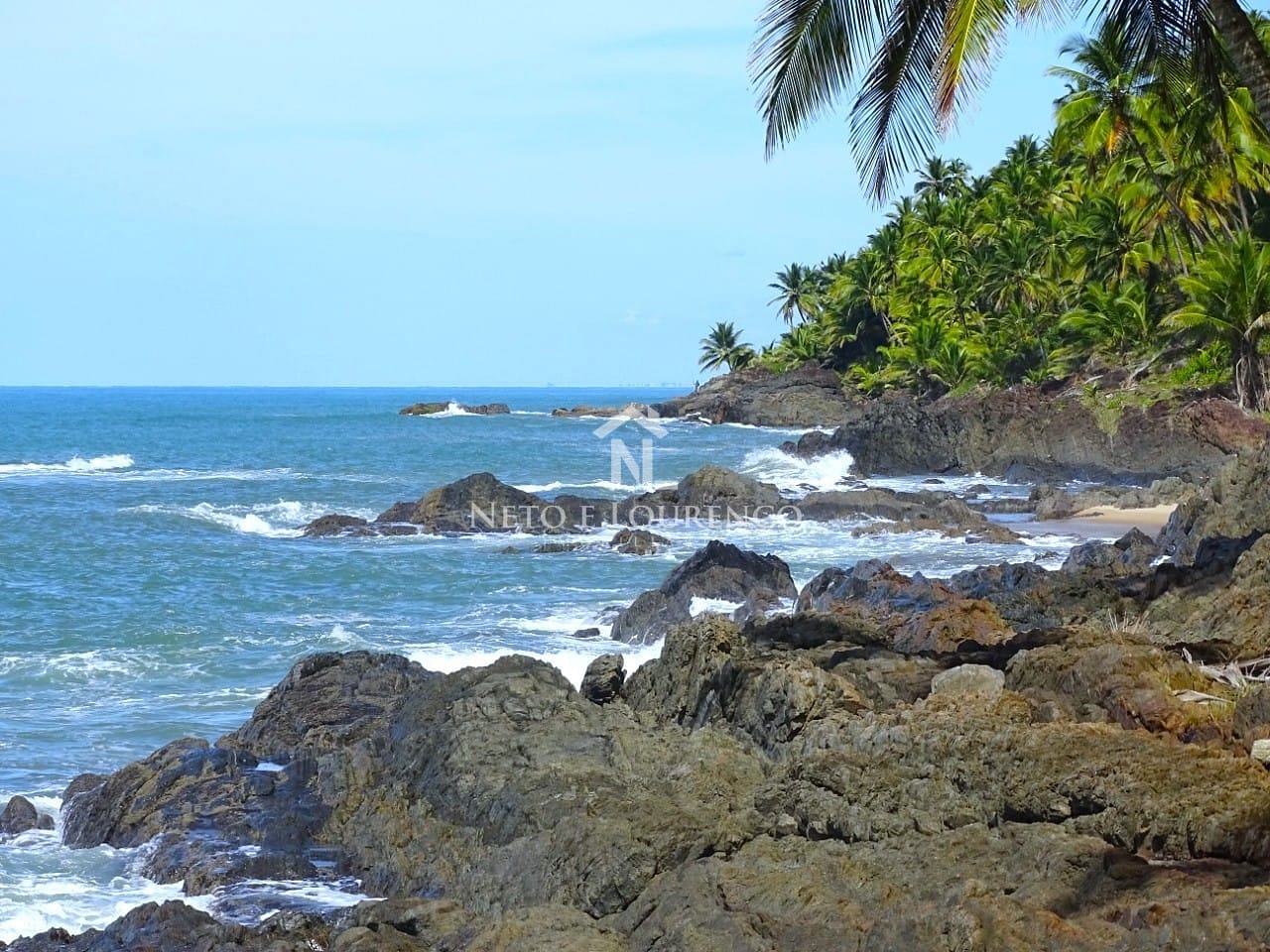 Terreno, 22 hectares - Foto 11