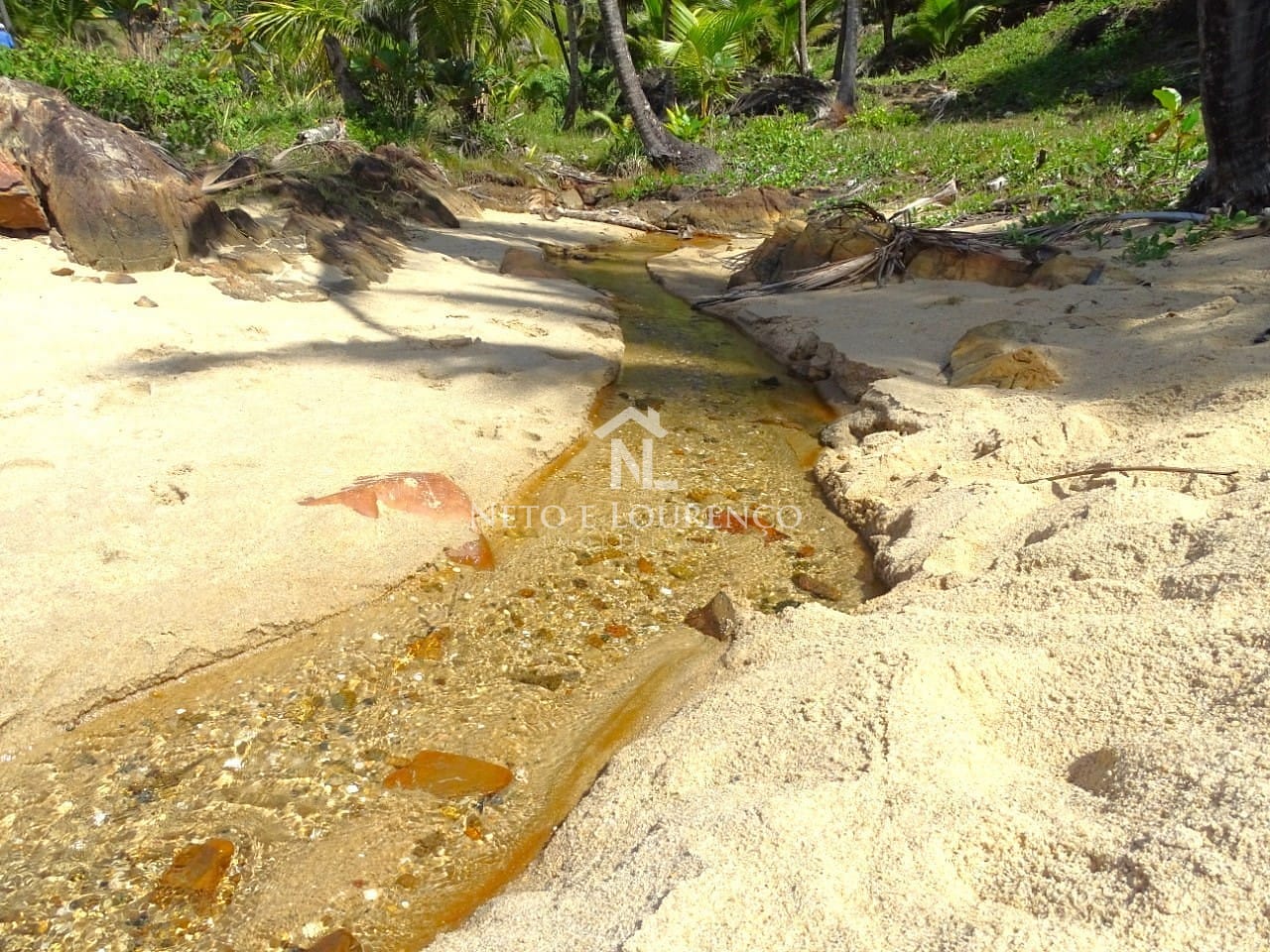 Terreno, 22 hectares - Foto 12