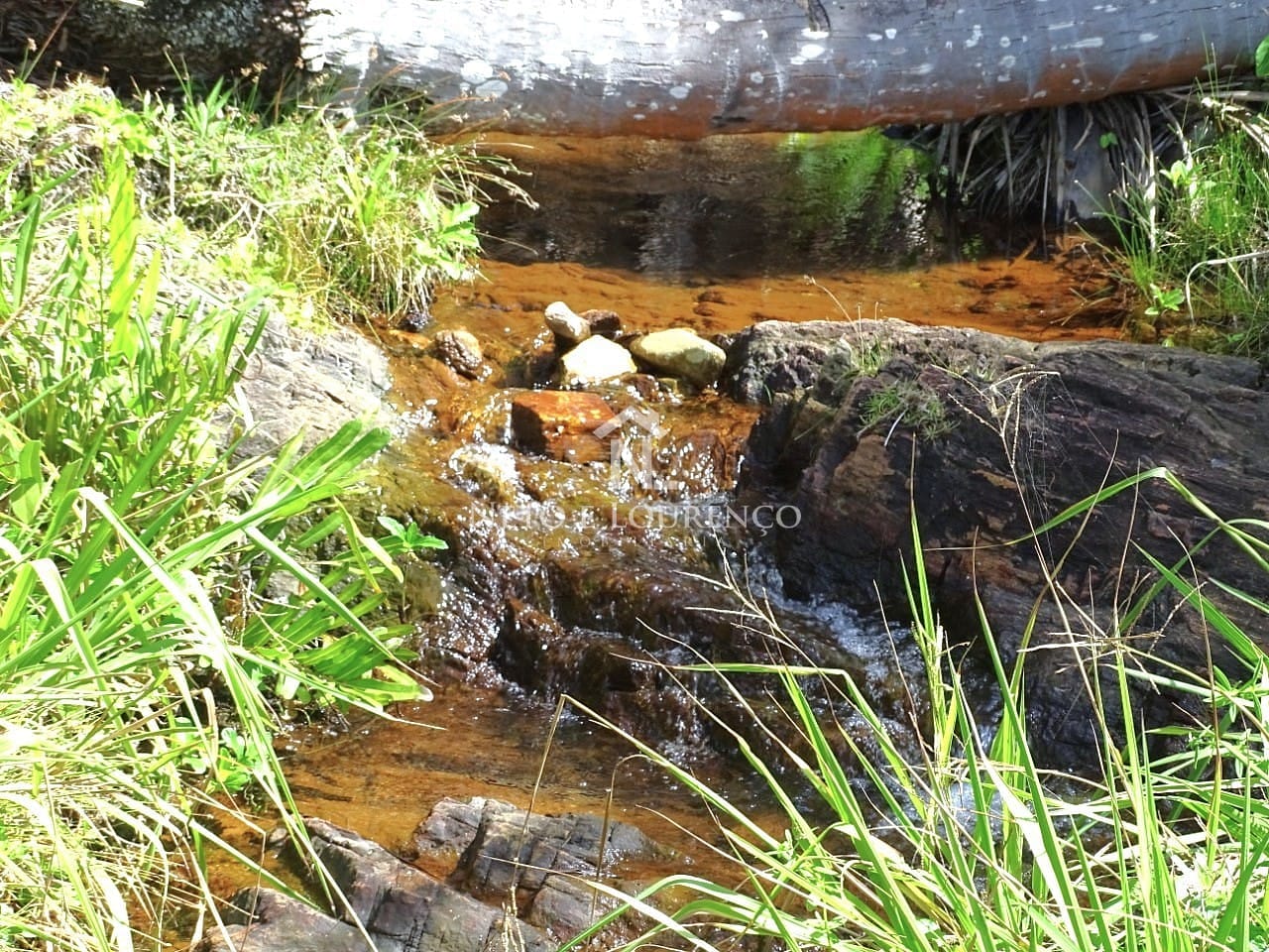 Terreno, 22 hectares - Foto 17