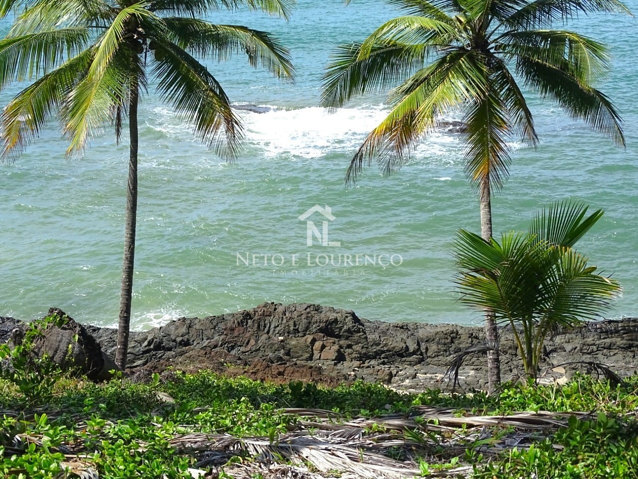 Terreno, 22 hectares - Foto 15