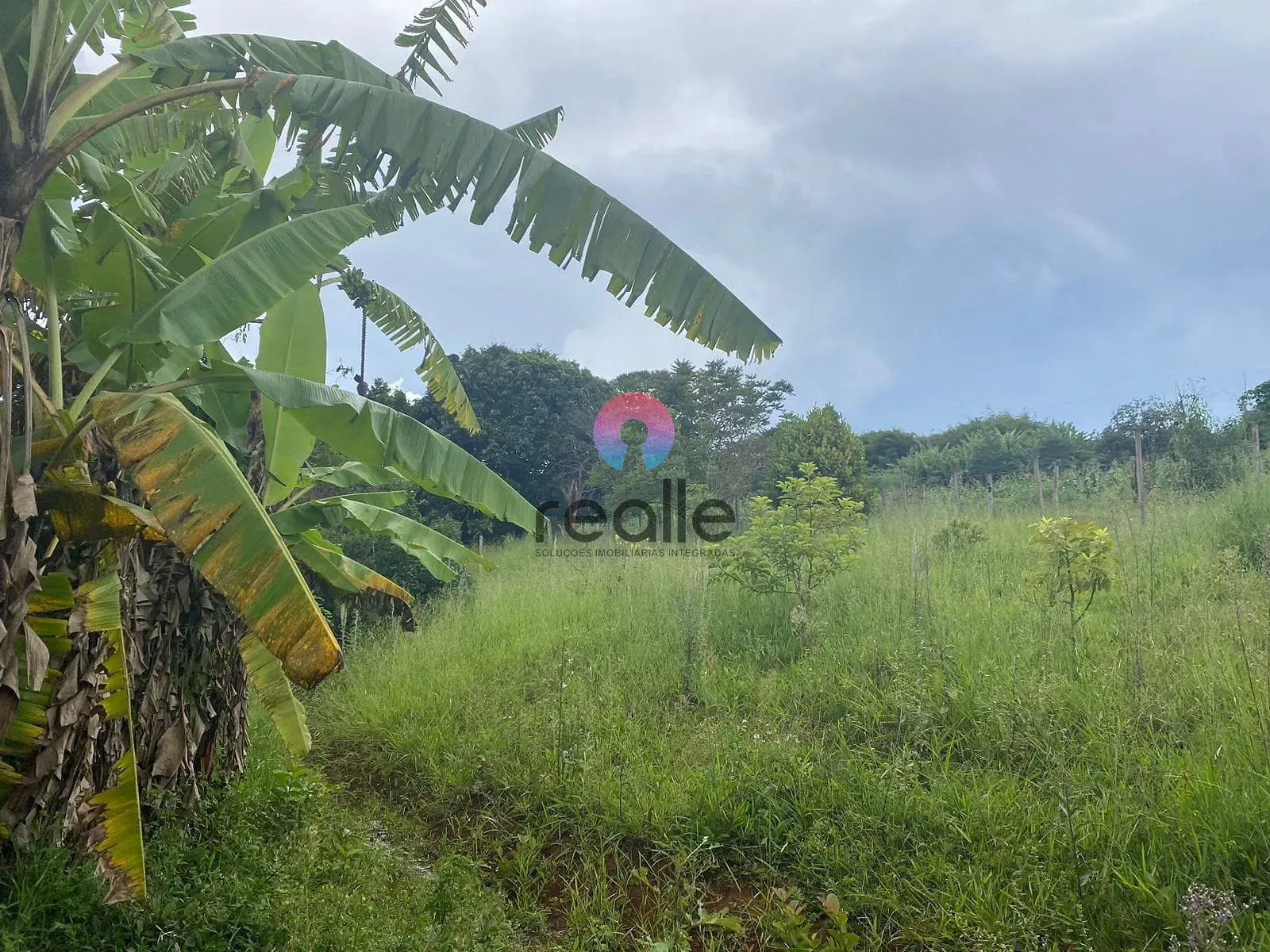 Terreno, 62 hectares - Foto 14