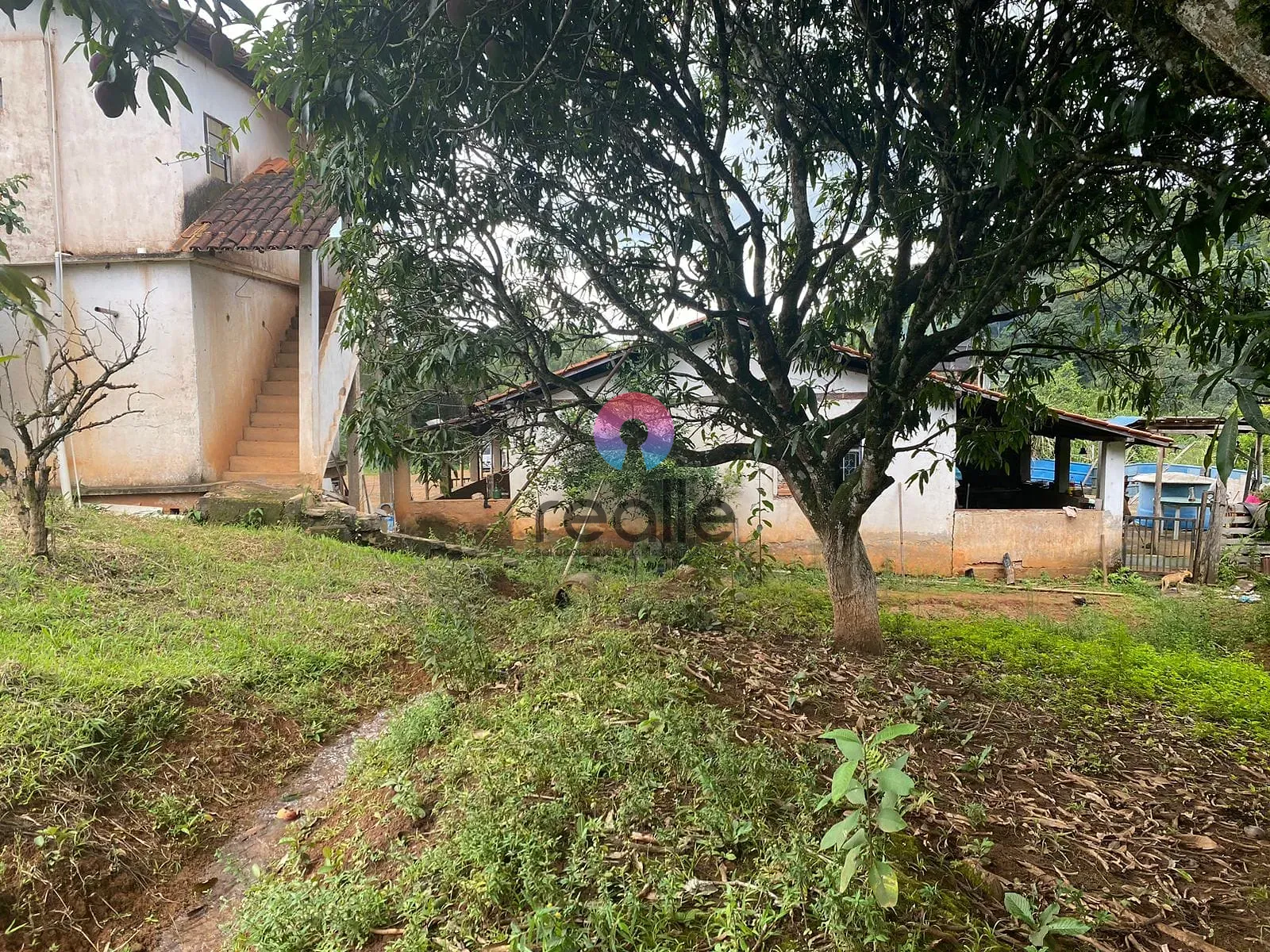 Terreno, 62 hectares - Foto 7