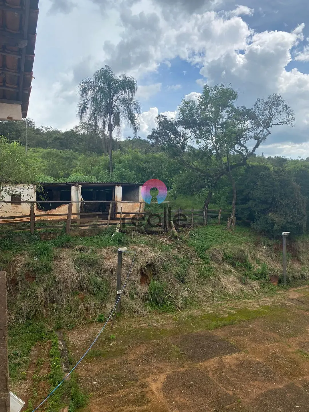 Terreno, 62 hectares - Foto 6