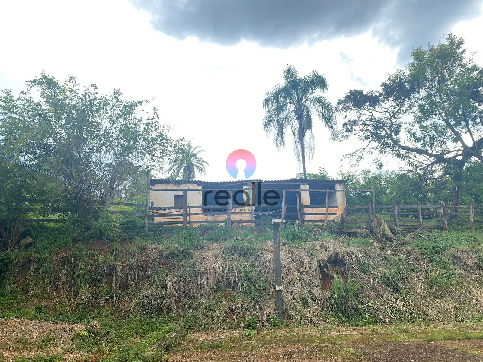 Terreno, 62 hectares - Foto 4