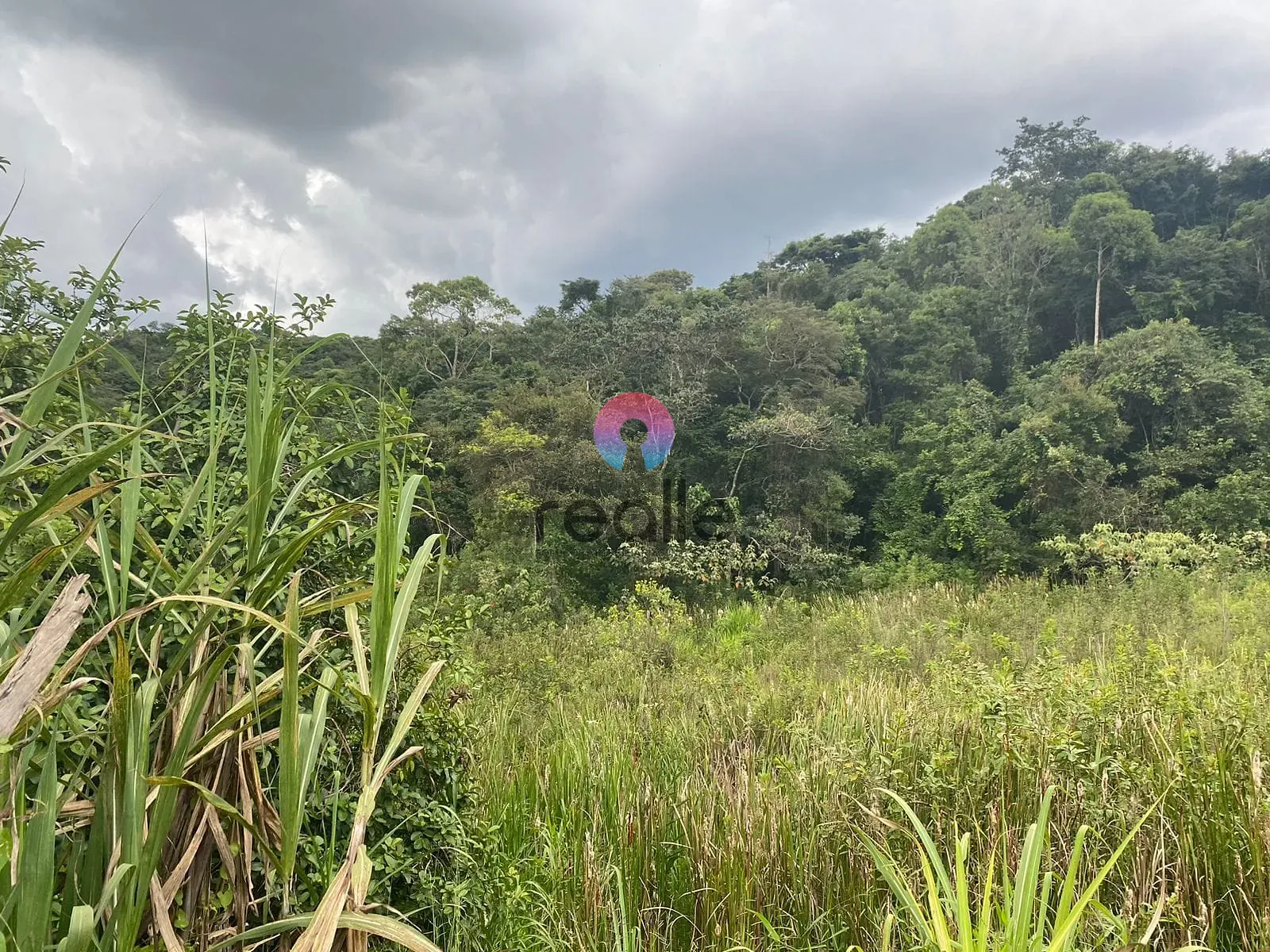 Terreno, 62 hectares - Foto 17