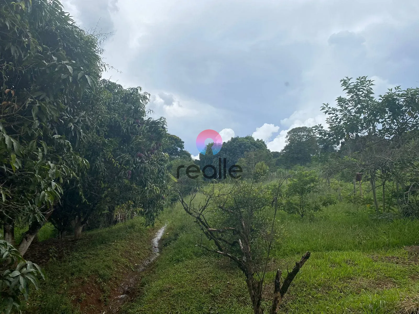 Terreno, 62 hectares - Foto 19