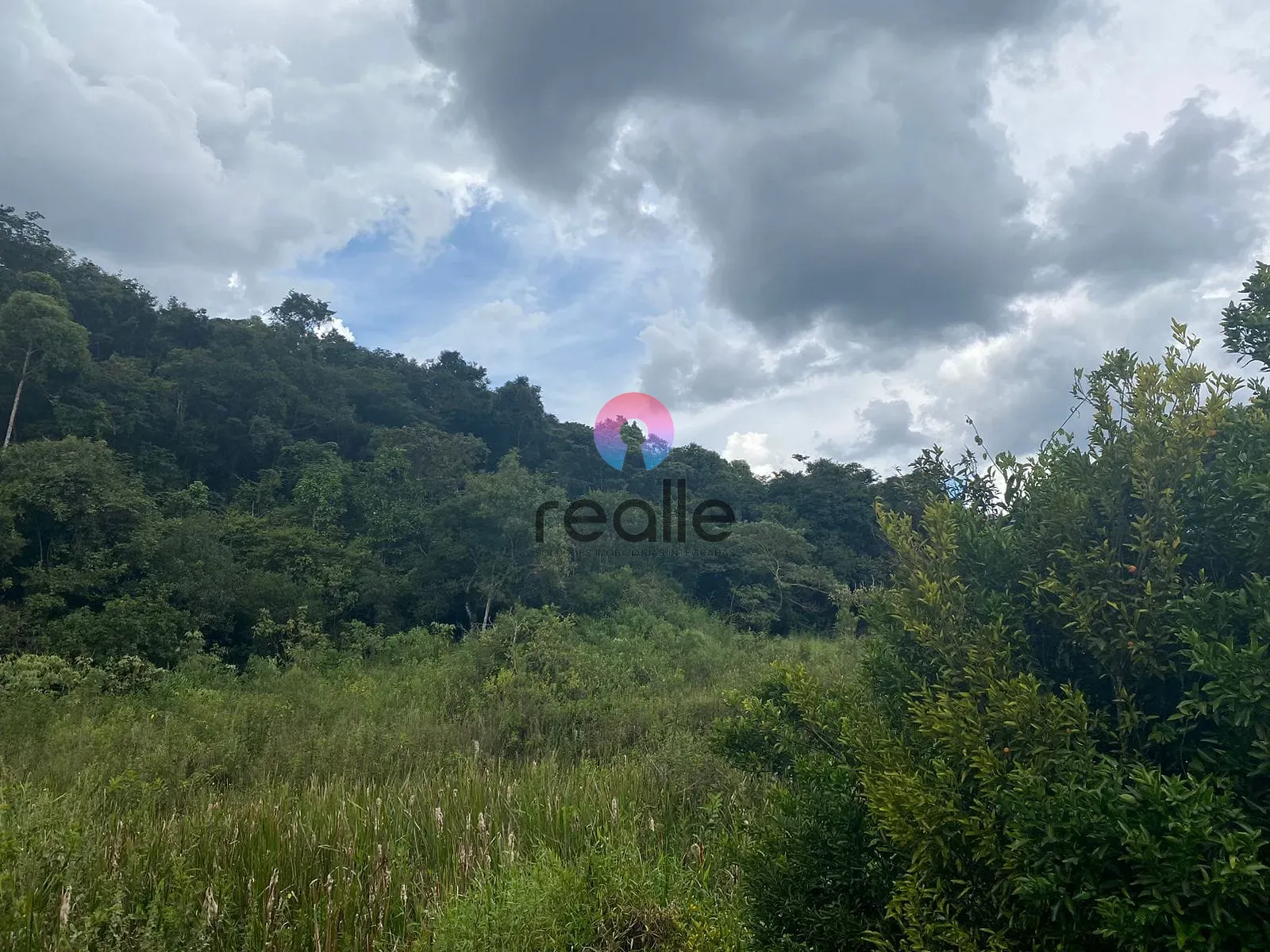 Terreno, 62 hectares - Foto 18