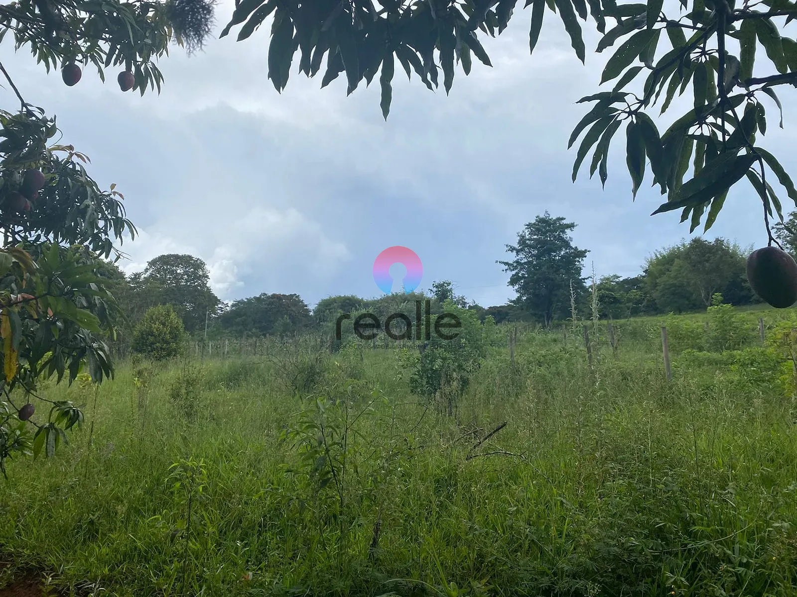 Terreno, 62 hectares - Foto 16