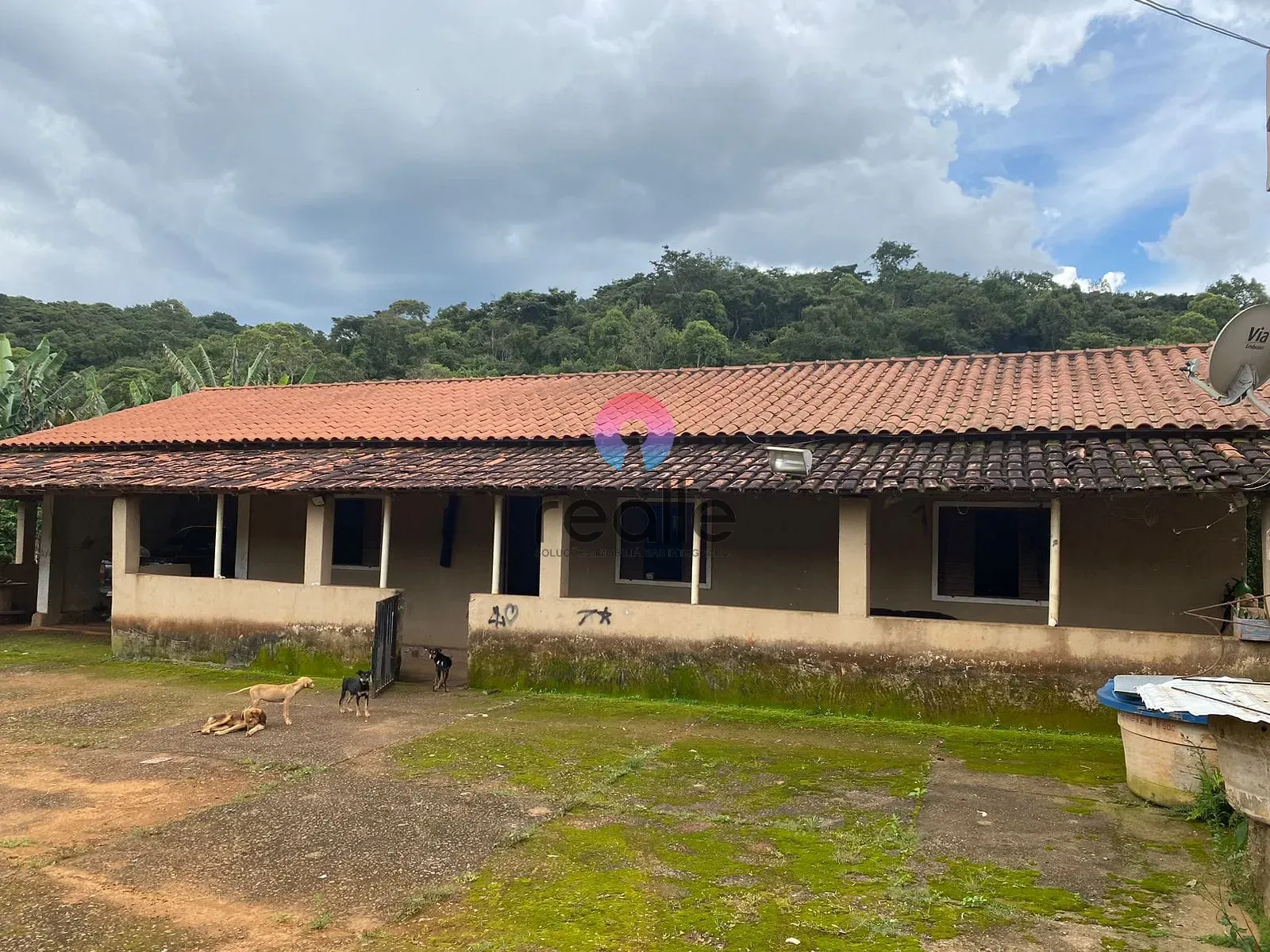 Terreno, 62 hectares - Foto 2