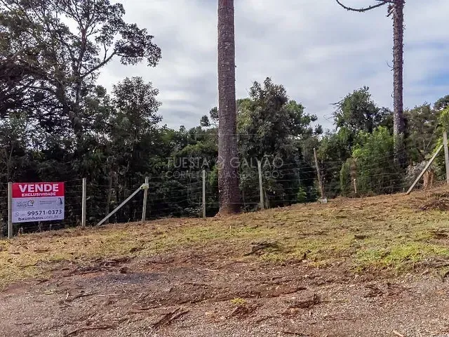 Terreno com 5m², à venda, no bairro Palmitalzinho em Quatro Barras