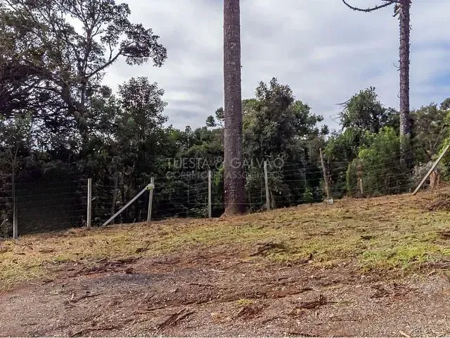 Terreno com 5m², à venda, no bairro Palmitalzinho em Quatro Barras