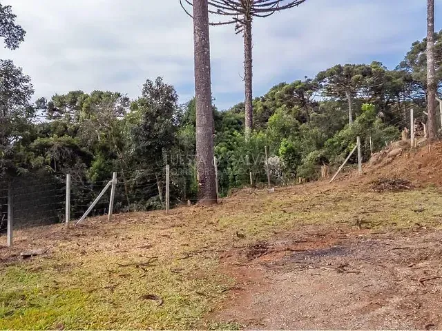 Terreno com 5m², à venda, no bairro Palmitalzinho em Quatro Barras