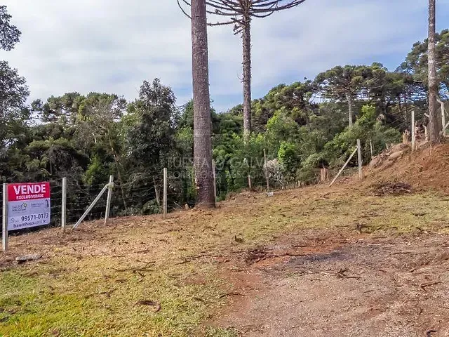 Terreno com 5m², à venda, no bairro Palmitalzinho em Quatro Barras