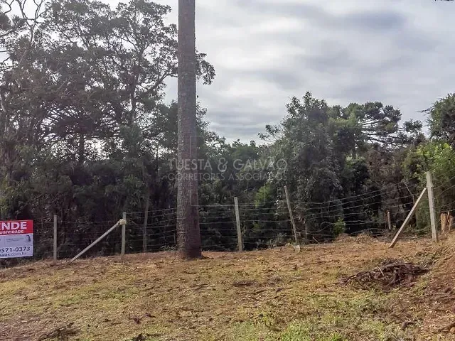 Terreno com 5m², à venda, no bairro Palmitalzinho em Quatro Barras