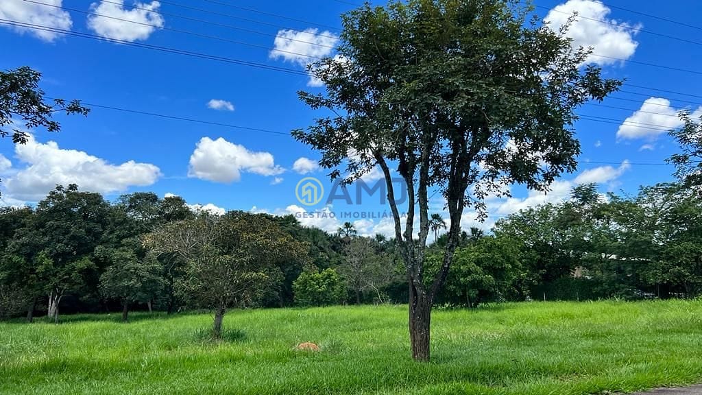 Terreno, 5098 m² - Foto 6