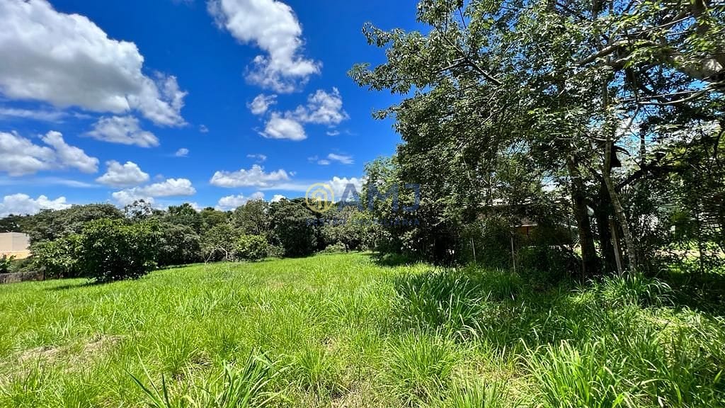 Terreno, 5098 m² - Foto 7