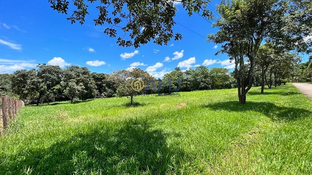 Terreno, 5098 m² - Foto 8