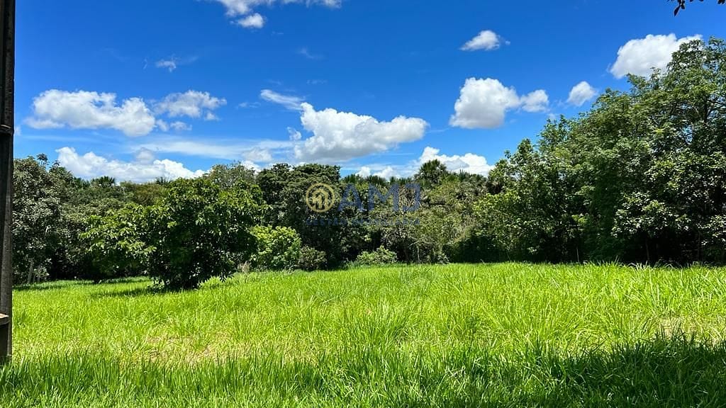 Terreno, 5098 m² - Foto 5