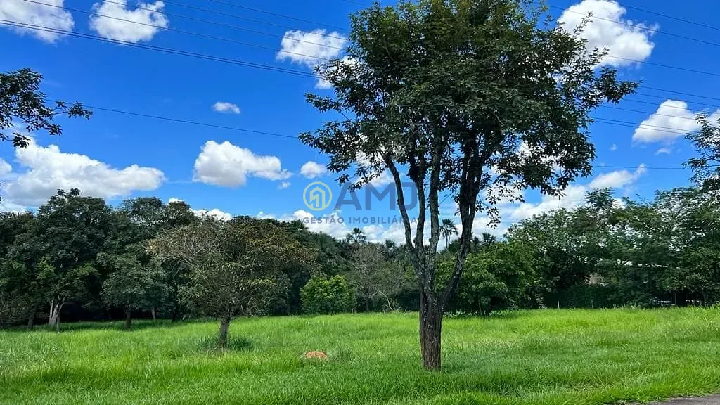 Terreno, 5098 m² - Foto 6