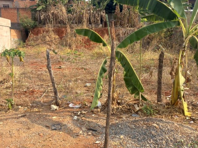 Terreno com 250m², à venda, no bairro Novo São Judas Tadeu em Arcos