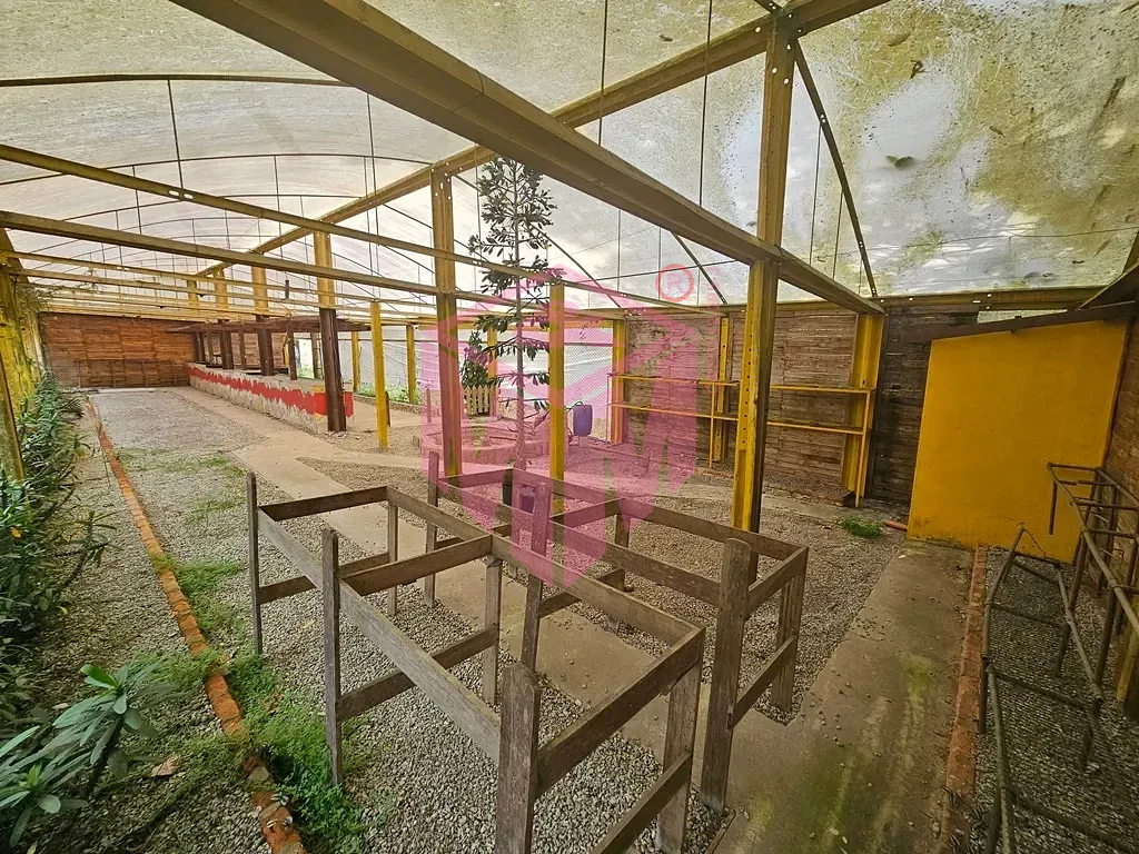 Terreno, 3231 m² - Foto 5