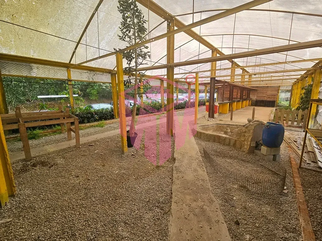 Terreno, 3231 m² - Foto 6