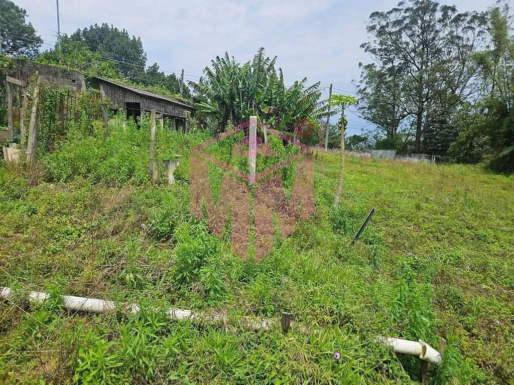 Terreno, 3231 m² - Foto 39