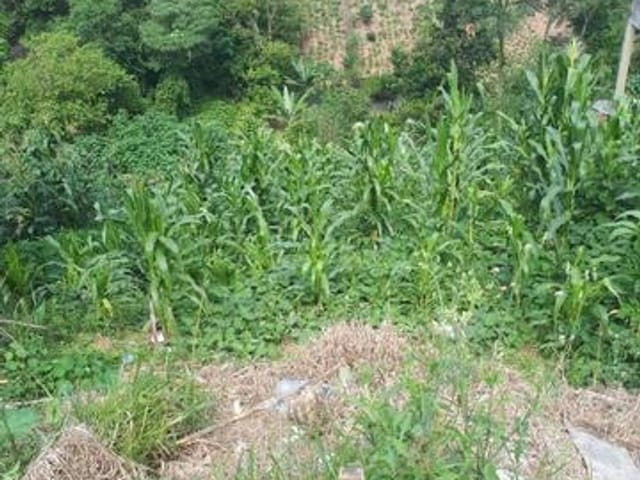 Terreno com 150m², à venda, no bairro Jardim Japao (Caucaia do Alto) em Cotia