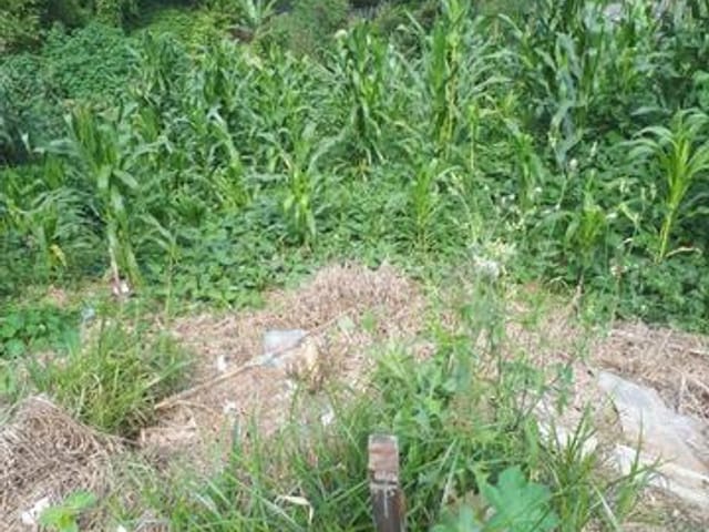 Terreno com 150m², à venda, no bairro Jardim Japao (Caucaia do Alto) em Cotia