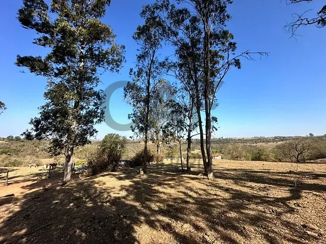 Terreno com 145200m², à venda, no bairro São João Pinheiro em Artur Nogueira