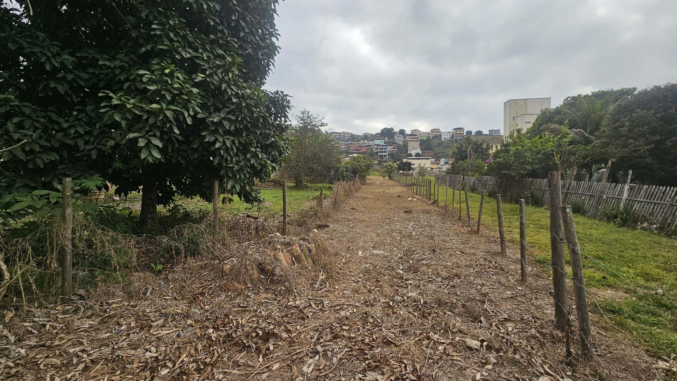 Terreno à venda, Jardim América, Rio Pomba, MG - foto 4