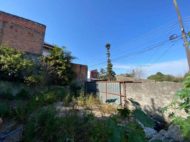 Terreno com 1170m², à venda, no bairro Nova Rússia em Ponta Grossa