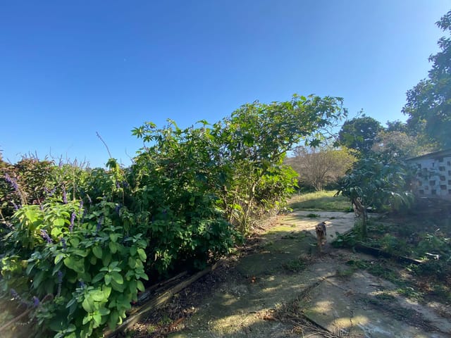 Terreno com 1170m², à venda, no bairro Nova Rússia em Ponta Grossa
