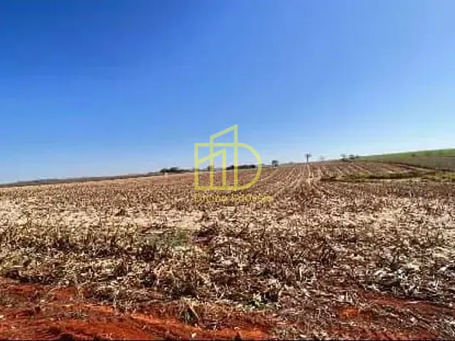 Terreno com 242000m², à venda, no bairro Guarapó em Quadra