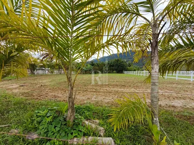 Terreno com 1635m², à venda, no bairro Galera em Canelinha