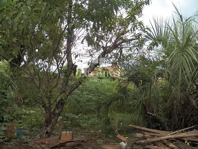 Terreno com 420m², à venda, no bairro Bela Vista em Arroio Do Meio
