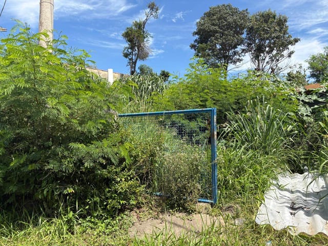 Terreno com 700m², à venda, no bairro Santa Clara em Campinas