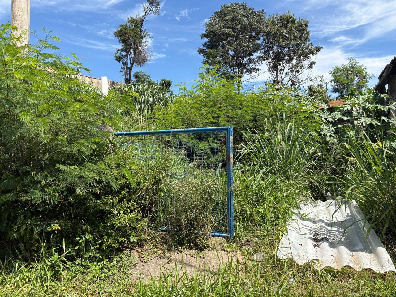 Terreno, 700 m² - Foto 4