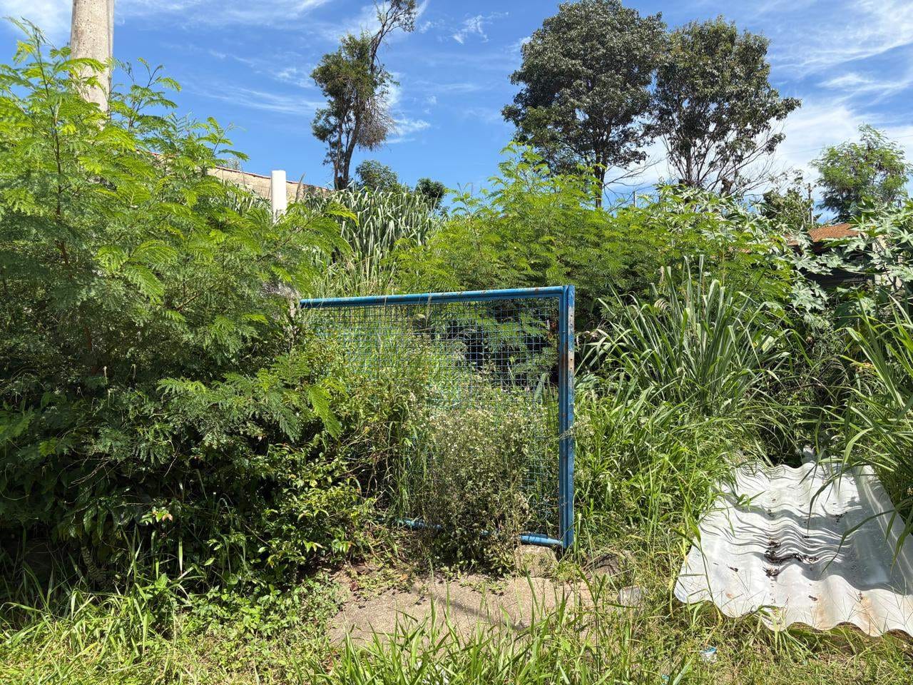 Terreno, 700 m² - Foto 6