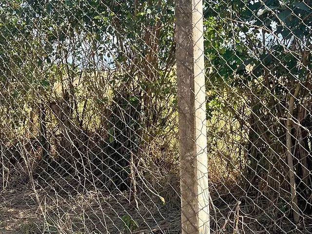 Terreno com 2503m², à venda, no bairro Loteamento Chácaras Santana em Guaratinguetá