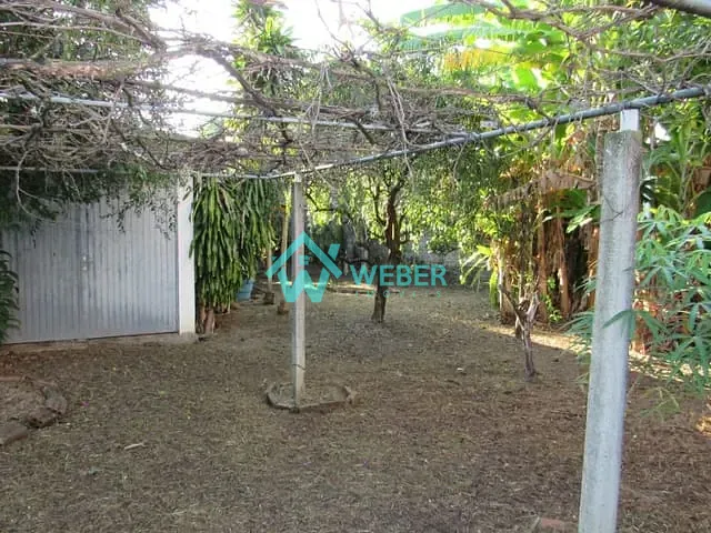 Terreno com 436m², à venda, no bairro Rio Branco em Novo Hamburgo