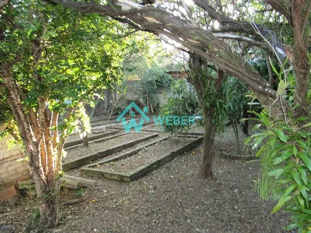 Terreno com 436m², à venda, no bairro Rio Branco em Novo Hamburgo