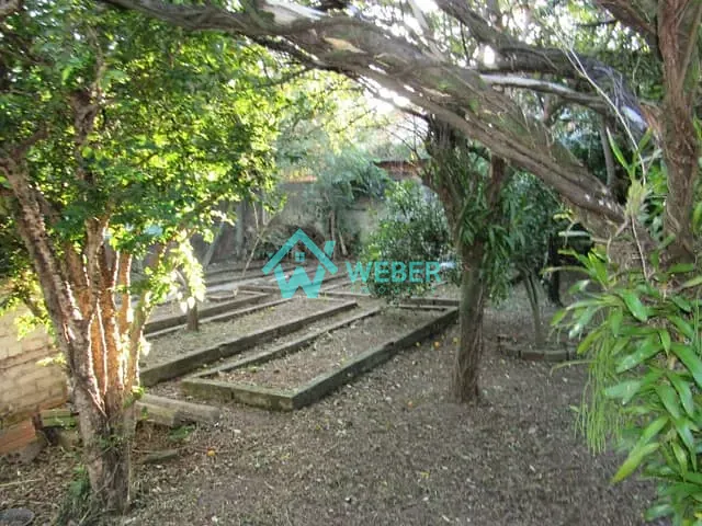 Terreno com 436m², à venda, no bairro Rio Branco em Novo Hamburgo