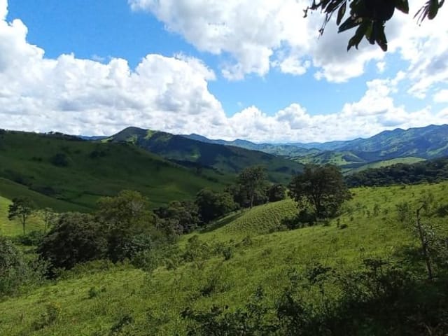 Foto do Terreno - Terreno à venda 375100M², Zona Rural, Delfim Moreira - MG | MOHALLEM e LOPES CORRETAGEM E ADMINISTRACAO DE IMOVEIS LTDA