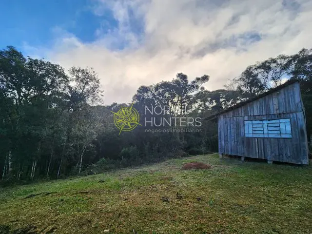 Terreno com 20631m², à venda, no bairro Ximbuva em Campo Alegre