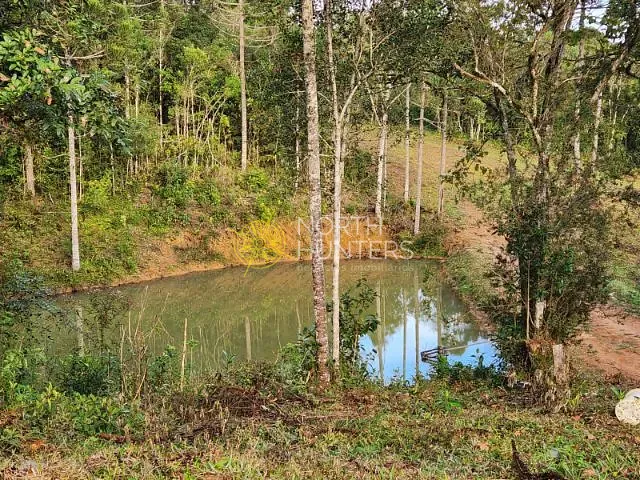 Terreno com 20631m², à venda, no bairro Ximbuva em Campo Alegre