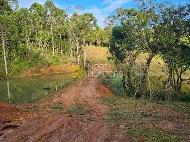 Terreno com 20631m², à venda, no bairro Ximbuva em Campo Alegre