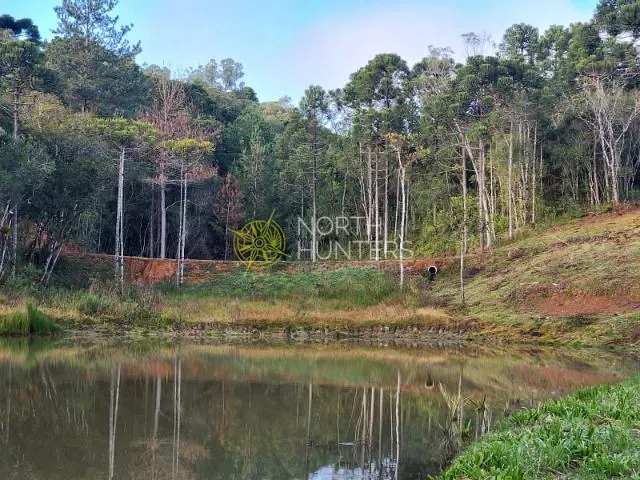 Terreno com 20631m², à venda, no bairro Ximbuva em Campo Alegre